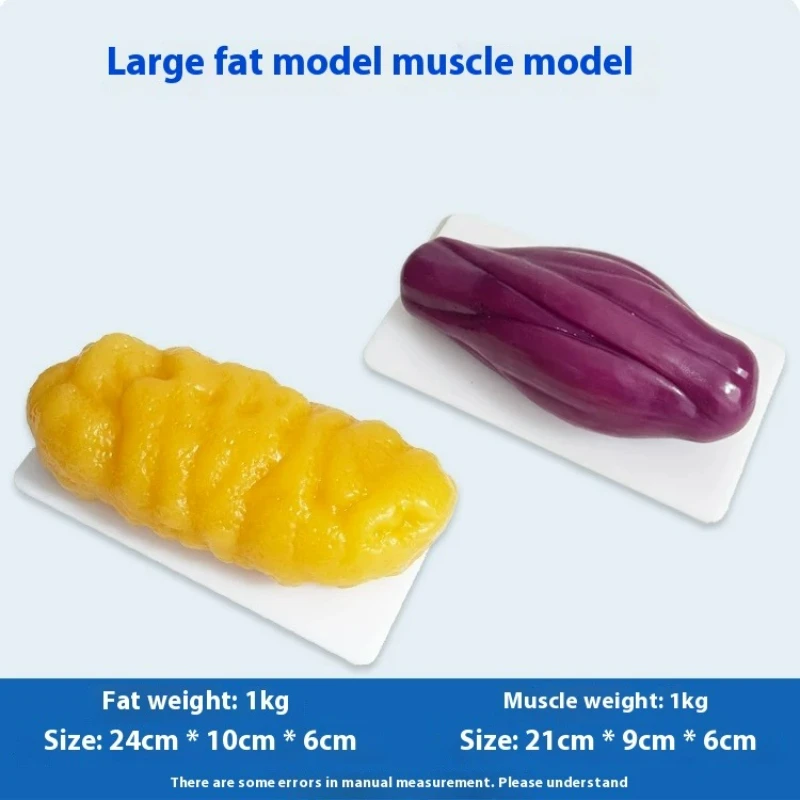 Replica's van menselijke spier - Nutrition Fitness Health recensie en prijs